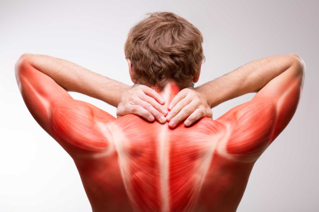 Боль в мышцах после тренировки