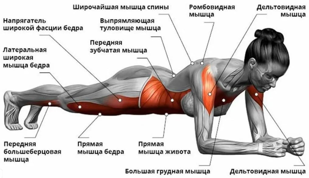 Упражнение планка мышцы